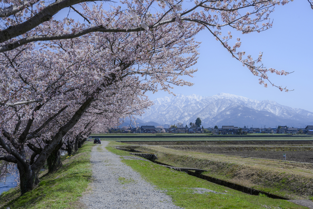 春の田園