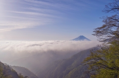 朝の光のなかに