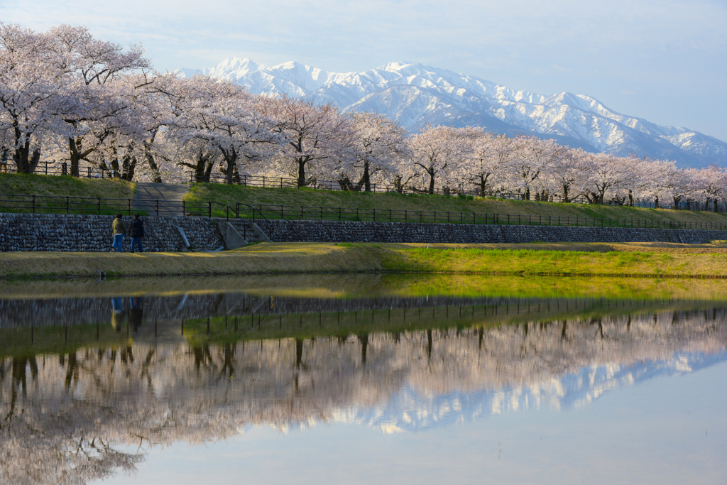 朝陽を浴びて