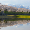 朝陽を浴びて