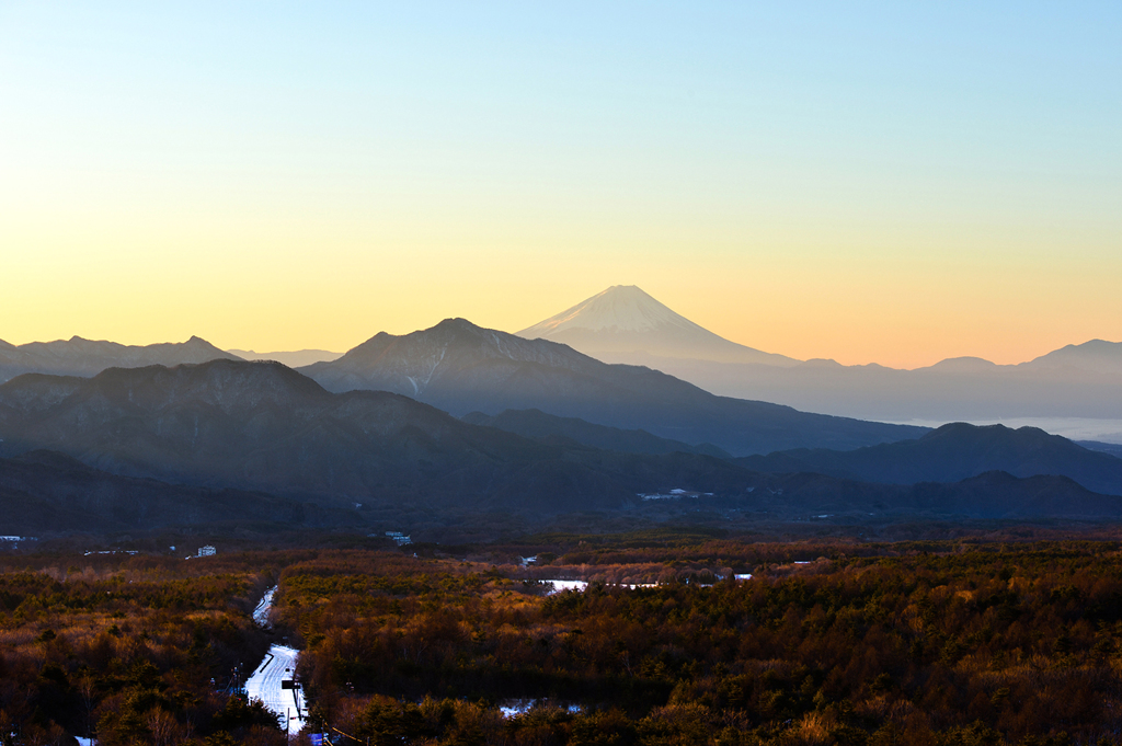 清里の森の朝