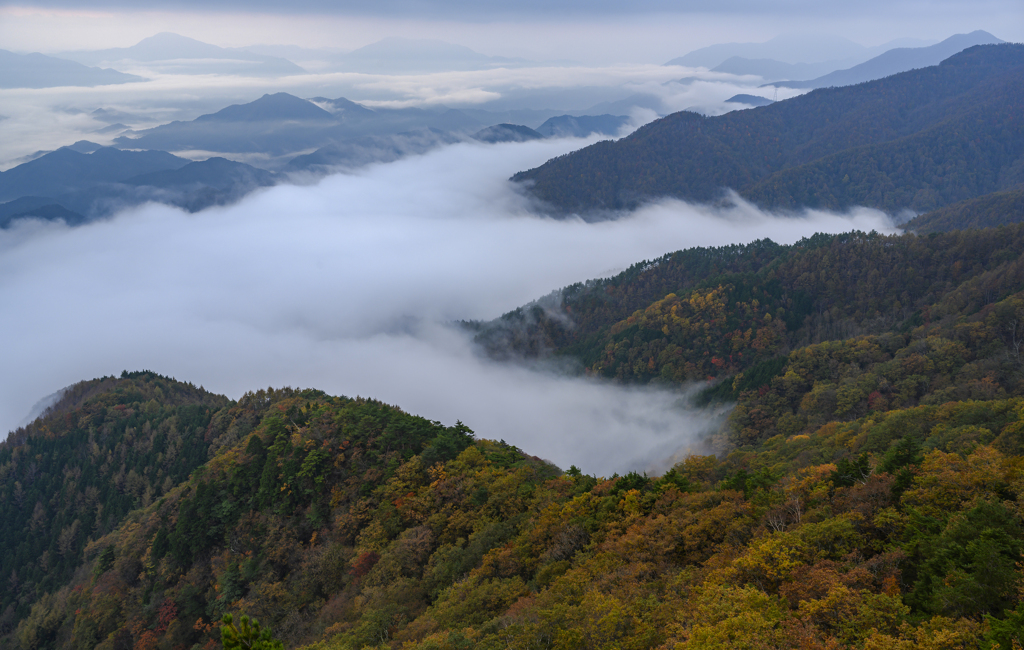 姥子山の秋