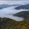 姥子山の秋