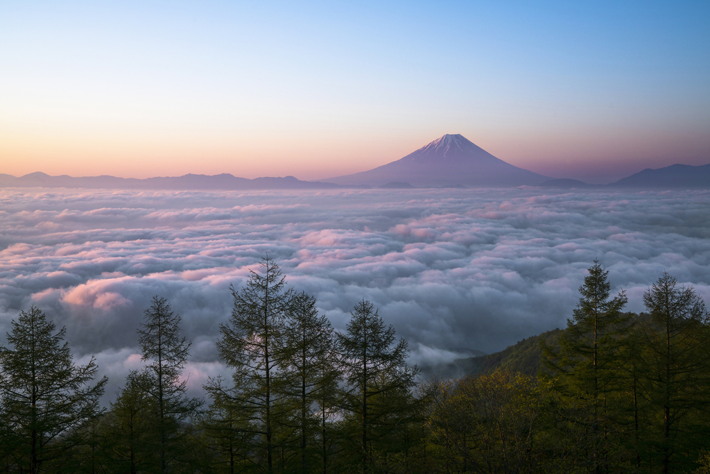 朝陽を浴びて