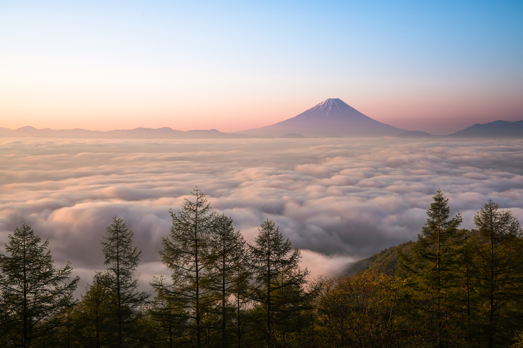 朝陽の旋律