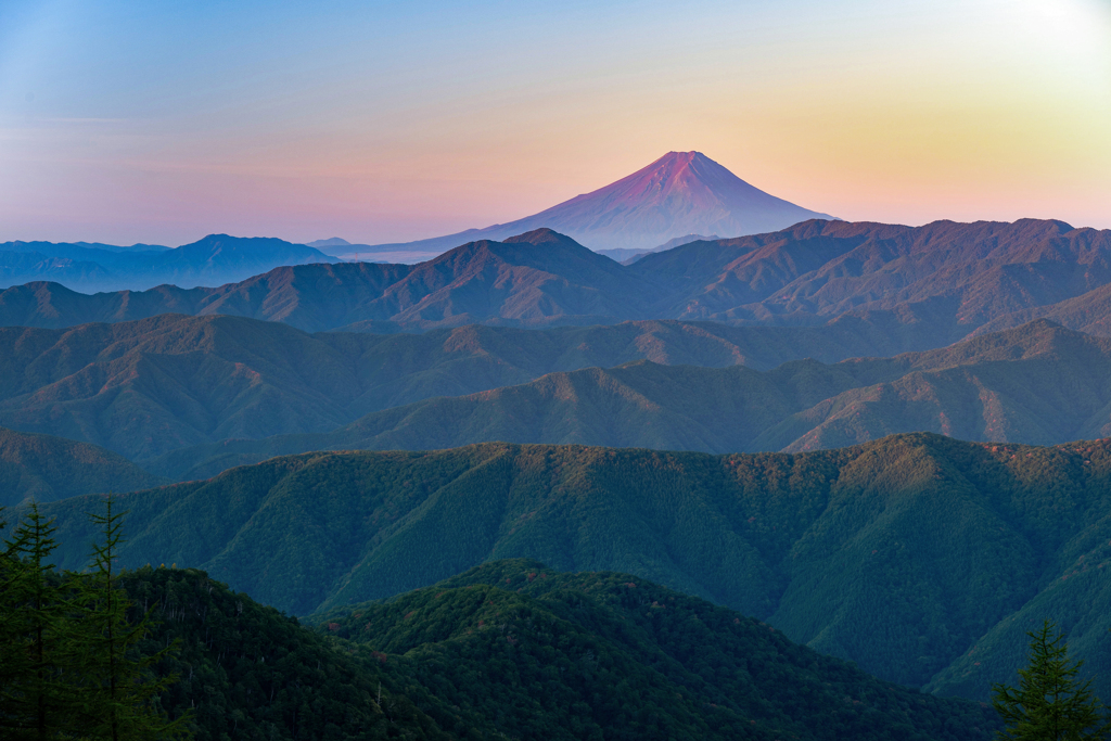 富士の目覚め～雲取山より