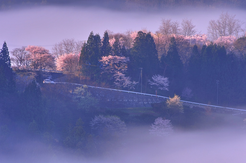 朝霧に包まれて