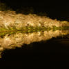夜の宴