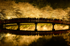 夜の春陽橋