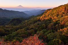 朝陽の輝き