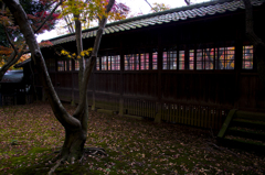 秋の本土寺
