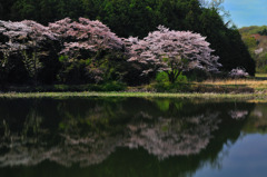 静寂のとき