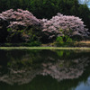 静寂のとき
