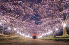 東蕗田天満社