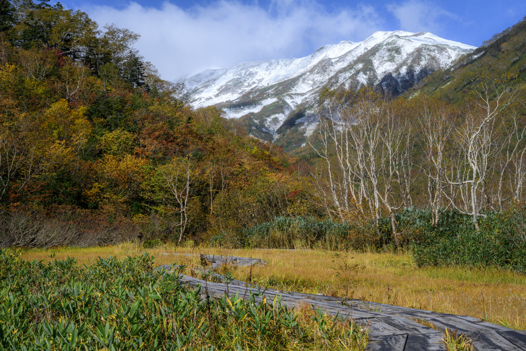 紅葉と小蓮華山