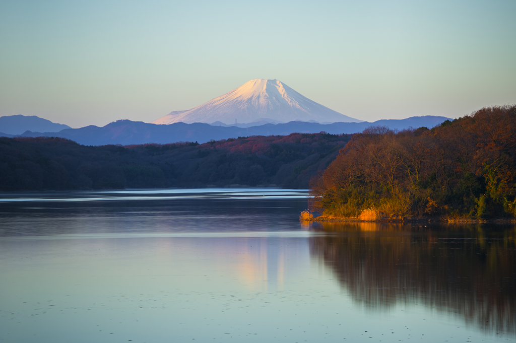 朝の色付き