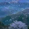 桜仙峡の春