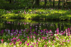 妖精たちの花園