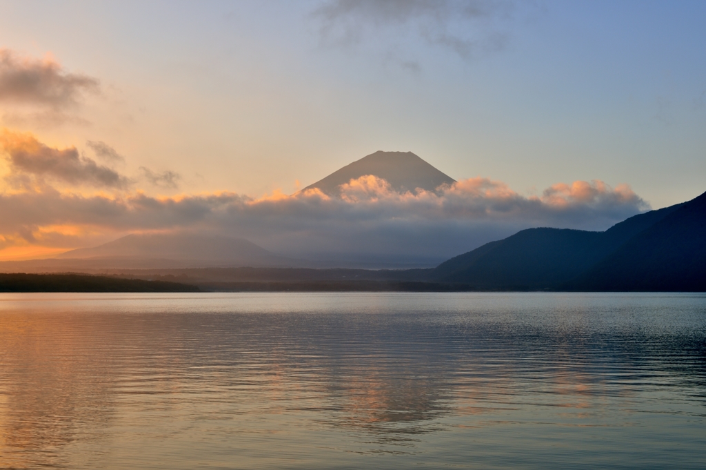 朝の光を浴びて