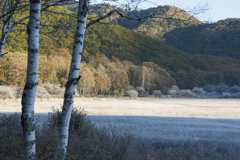 朝陽に癒されて