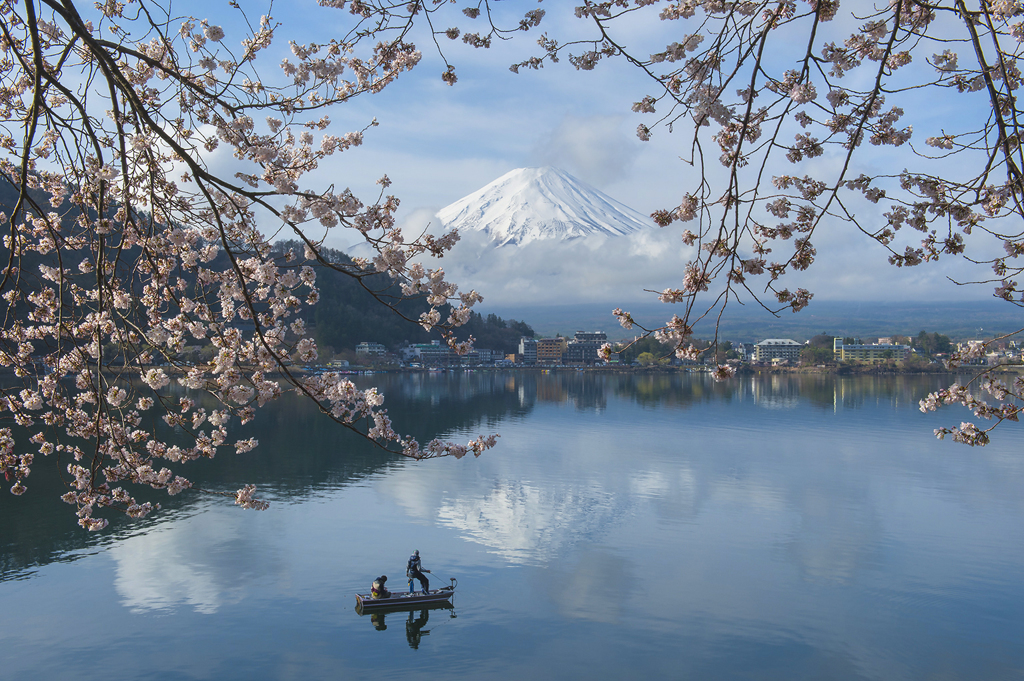 桜 frame