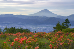 ツツジの台地