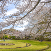 春の公園