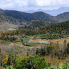 自然園全景