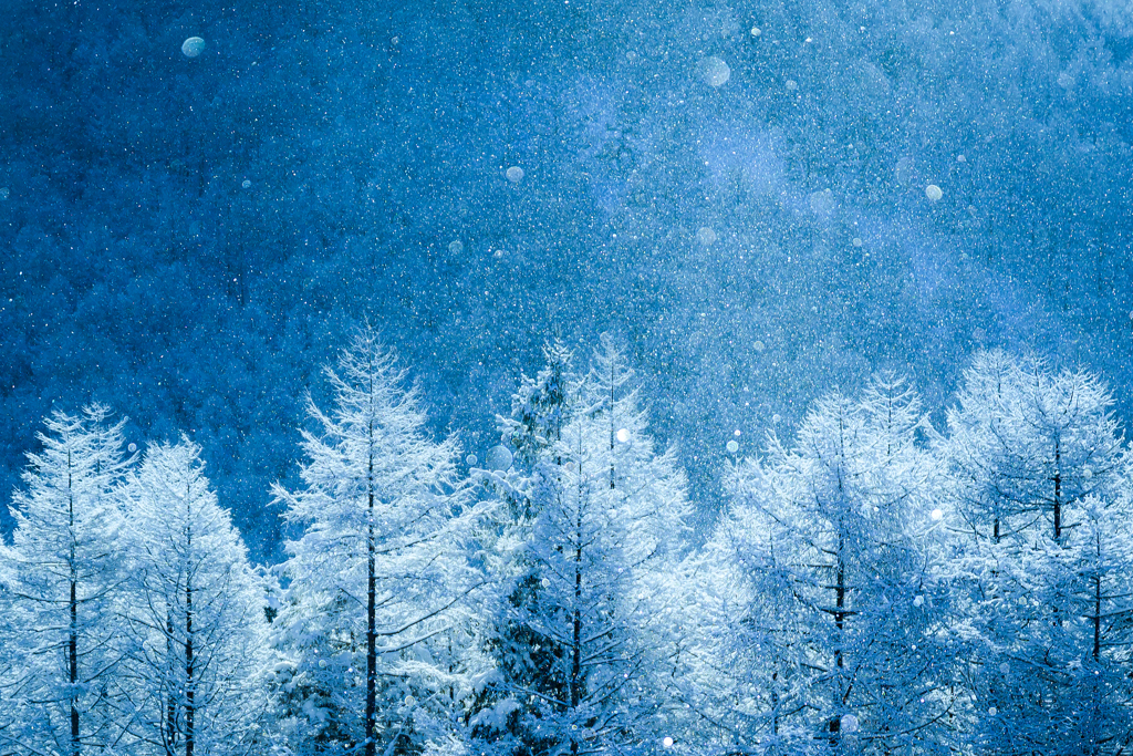 雪舞う頃