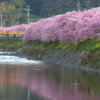 川辺の彩