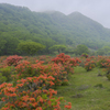 霧の高原