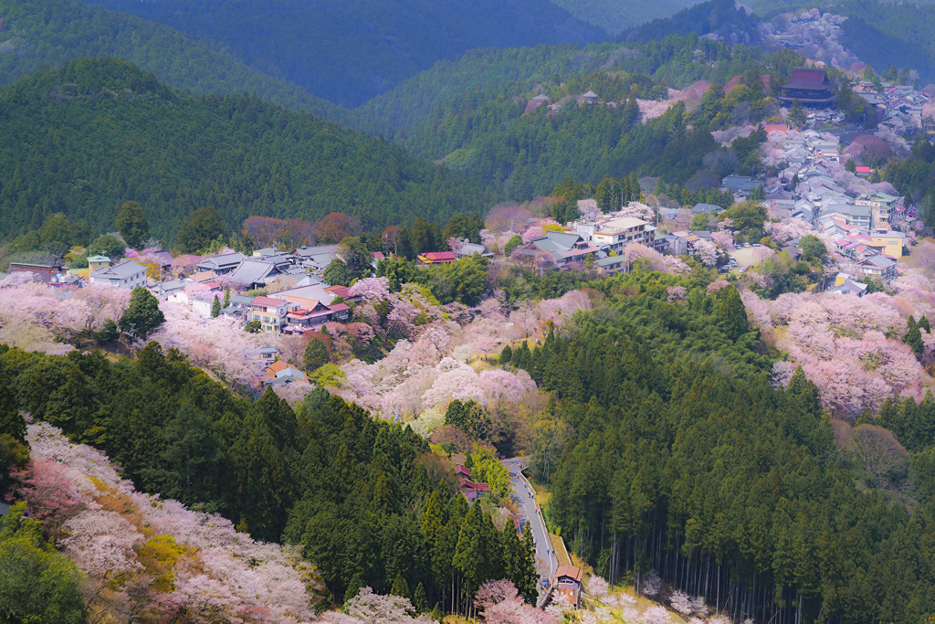 吉野山 春景色