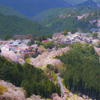 吉野山 春景色