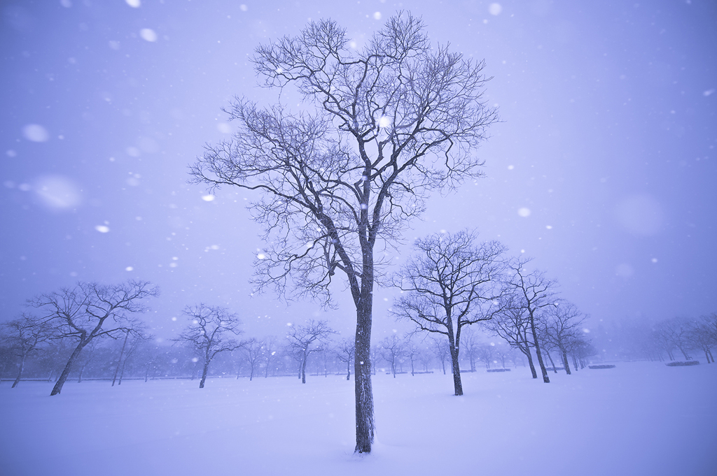 東京雪景色Ⅲ