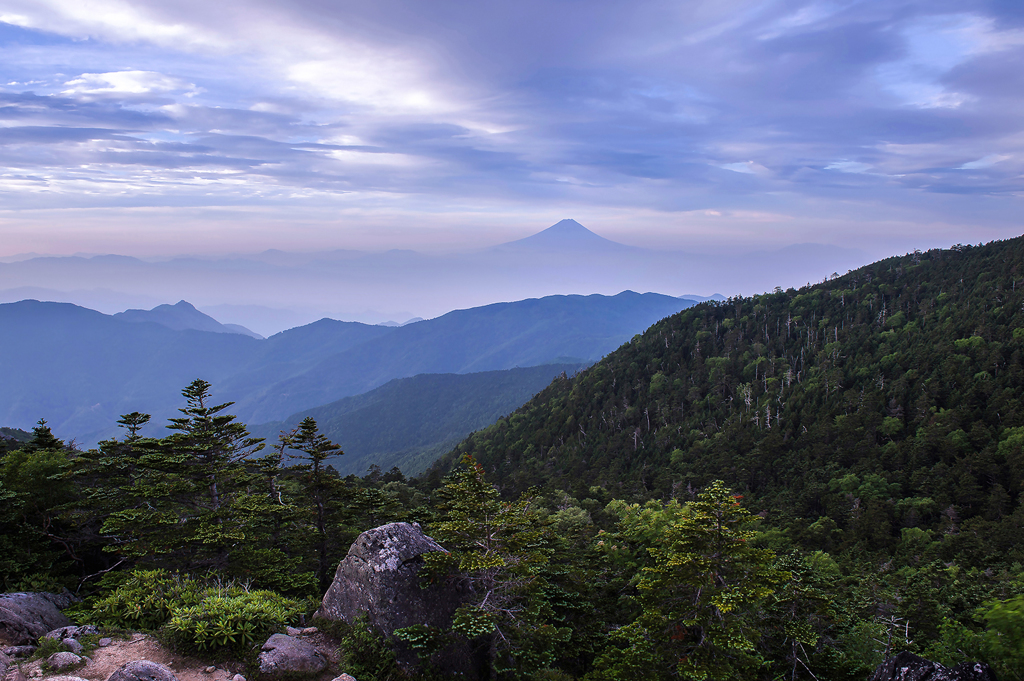 高嶺の庭