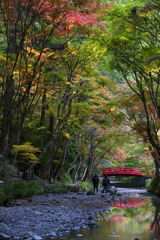 小國神社の朝