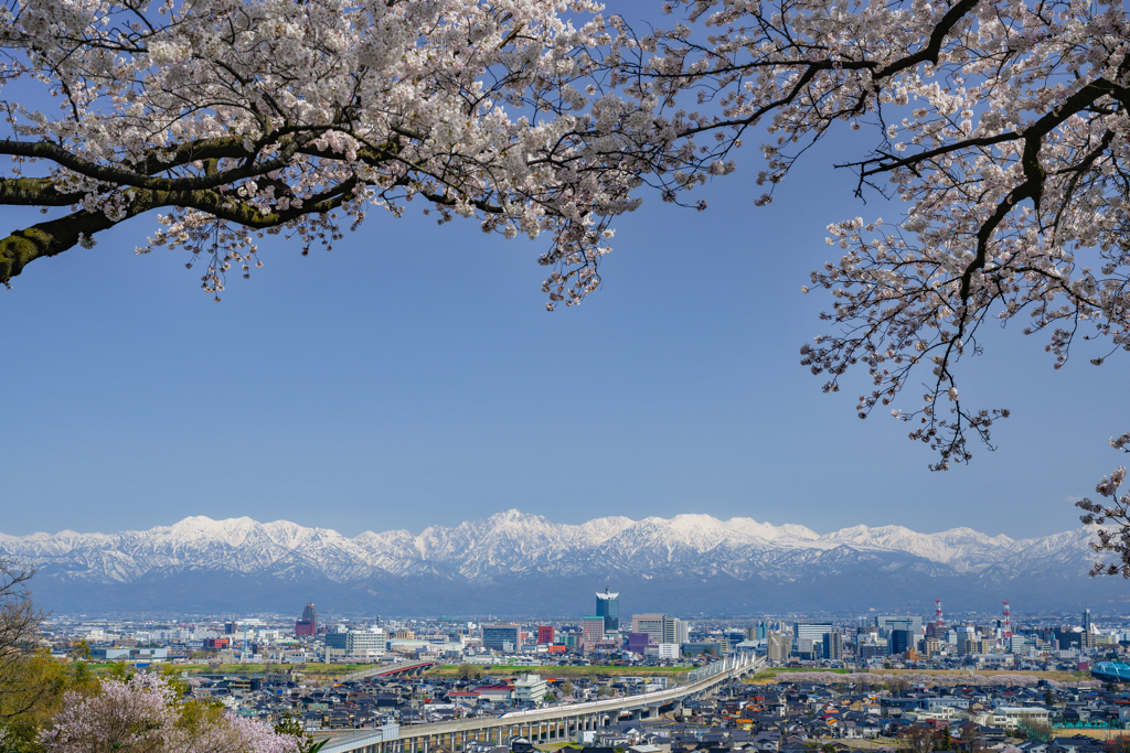 桜の広場展望台