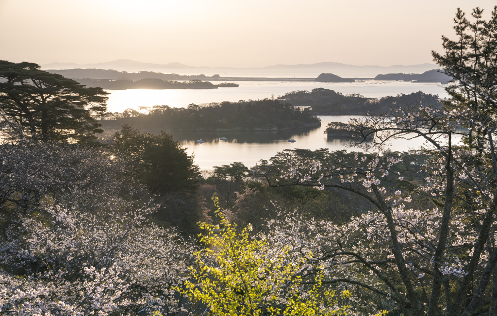 西行戻しの松公園
