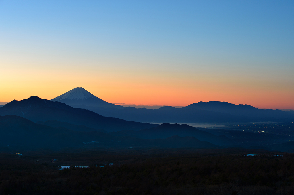 美し森の夜明け