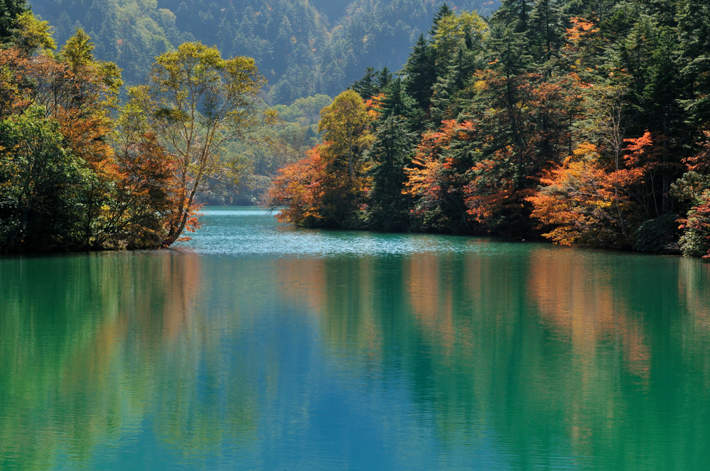 紅葉の大沼池
