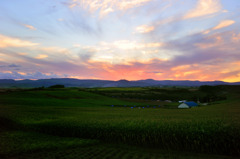 晩夏の夕暮れ