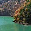梓湖の春