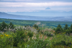 八ヶ岳山麓から