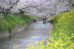 城跡橋より