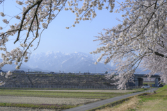 朝の光に包まれて