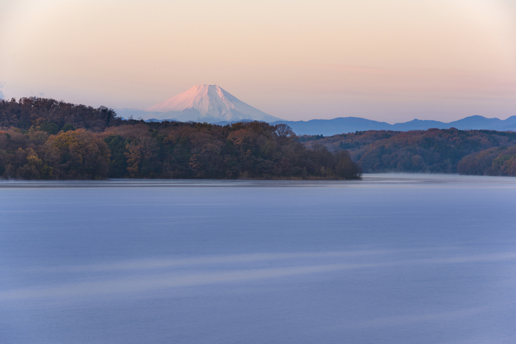 朝陽に頬染めて