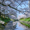 川べりを歩けば