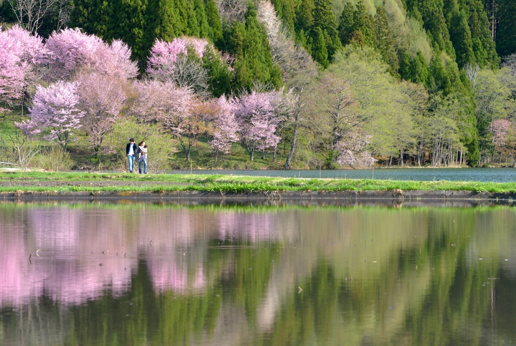 湖畔の彩り