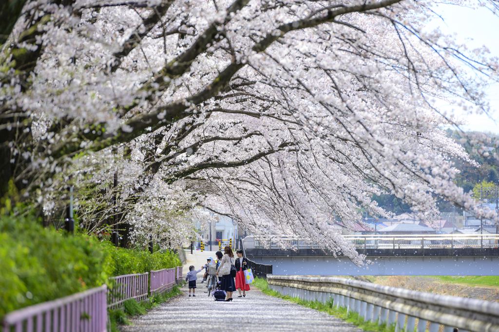 入園の日に