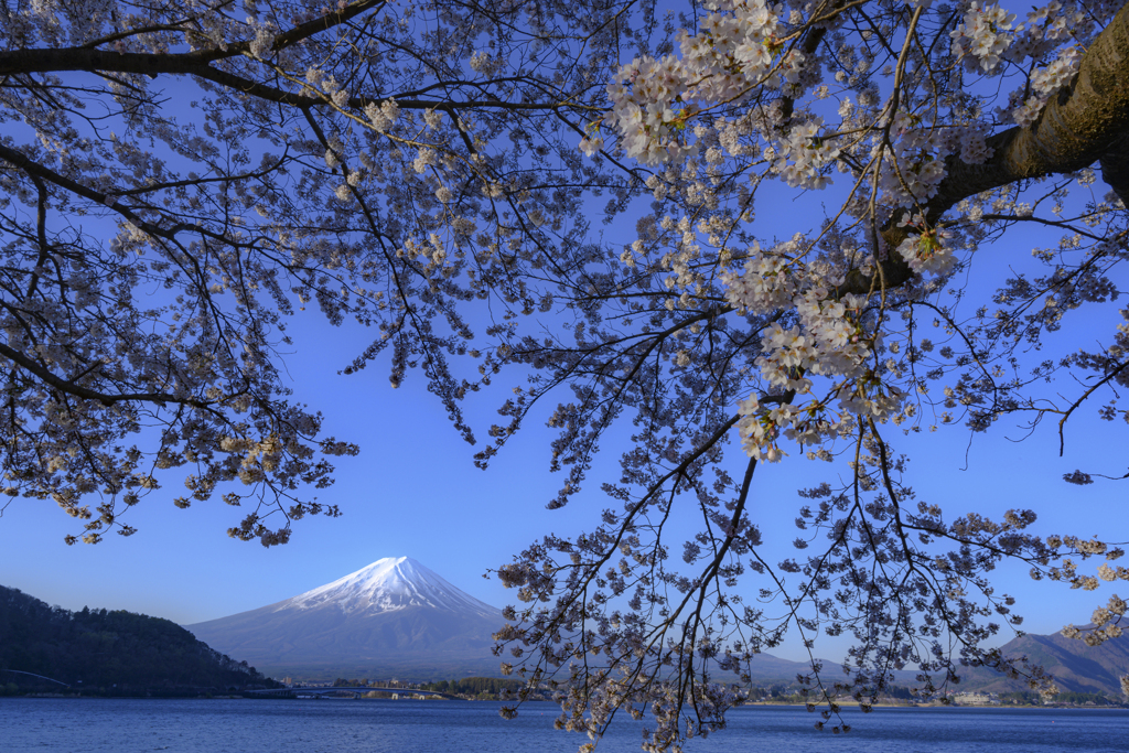 朝陽差し込んで